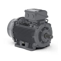 Асинхронный электродвигатель WEG 17376513 WGOST-L100L 5.5 кВт 2P B3T 220/380 В 50 Гц