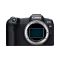 Беззеркальная полнокадровая камера Canon EOS R8 BODY (5803C019)