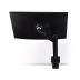 Монитор 32" LG 32UN880K-B