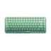Клавиатура Ajazz 308i Cat Gradient Green
