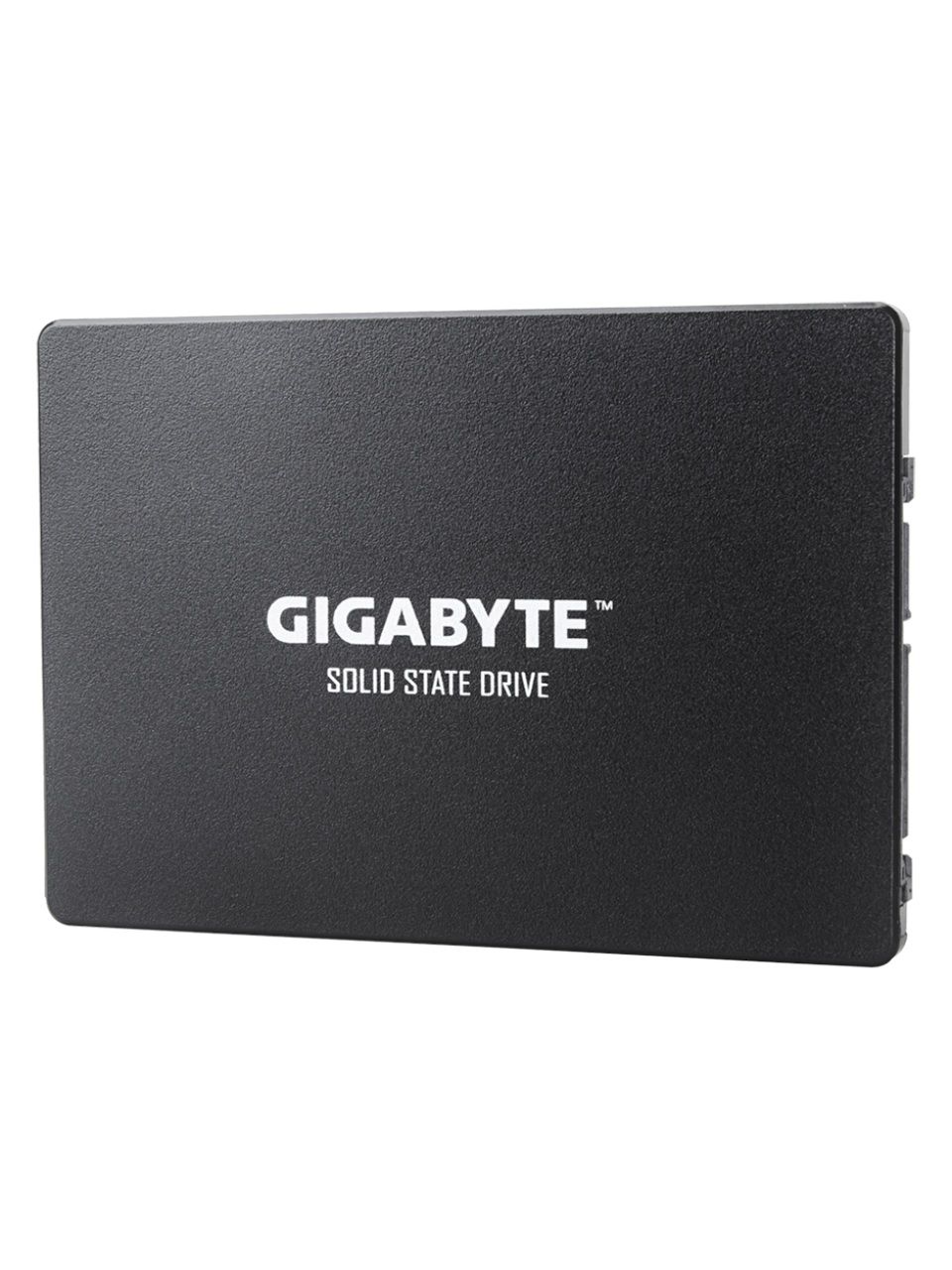 Твердотельный накопитель внутренний Gigabyte GSTFS31240GNTD