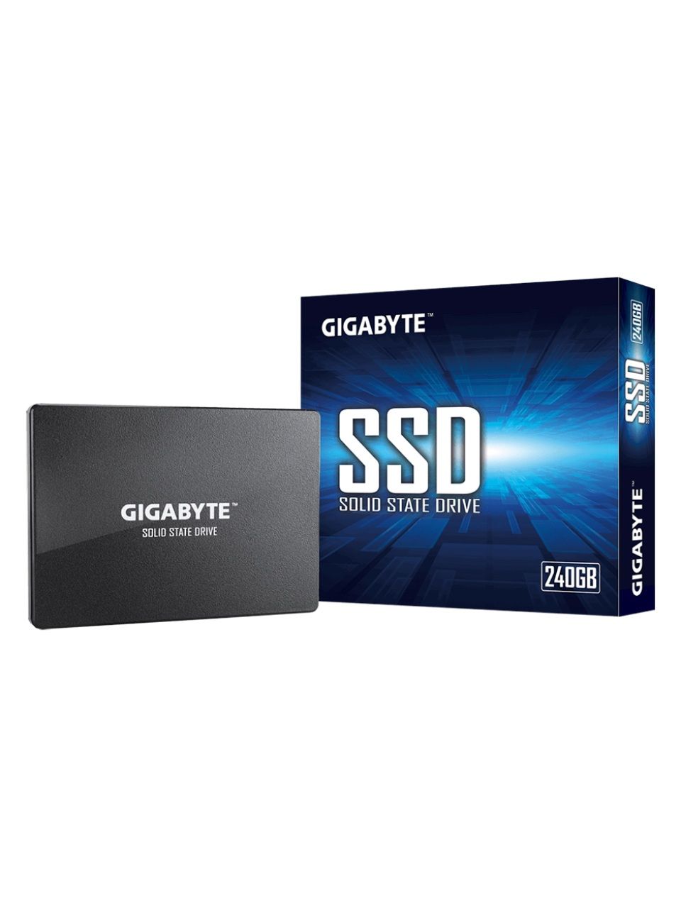Твердотельный накопитель внутренний Gigabyte GSTFS31240GNTD