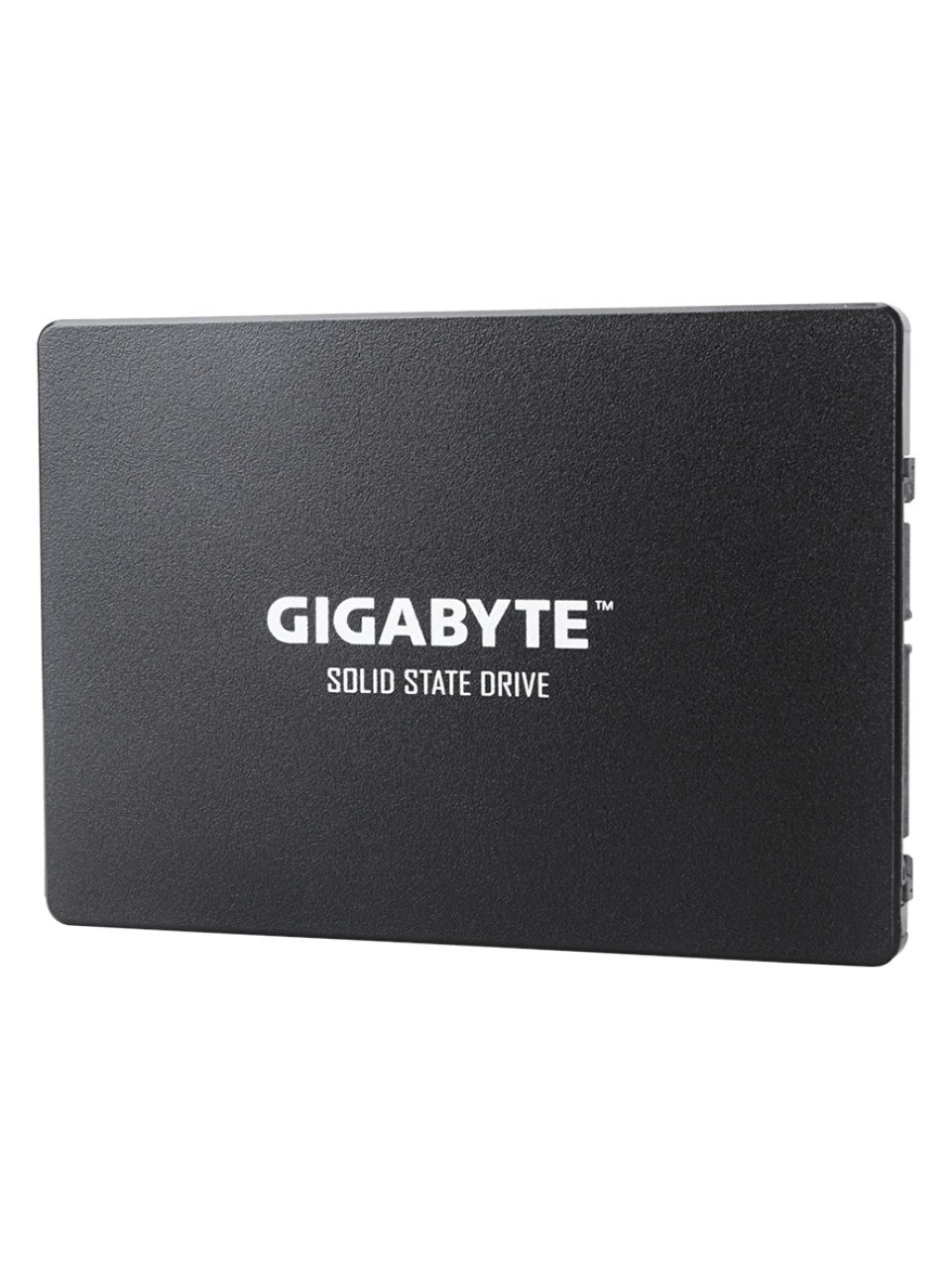 Твердотельный накопитель внутренний Gigabyte GSTFS31480GNTD