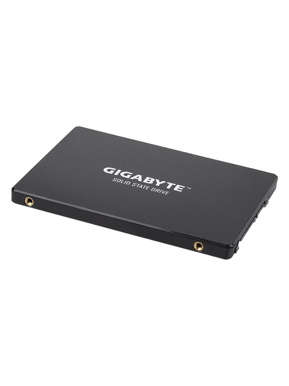 Твердотельный накопитель внутренний Gigabyte GSTFS31480GNTD