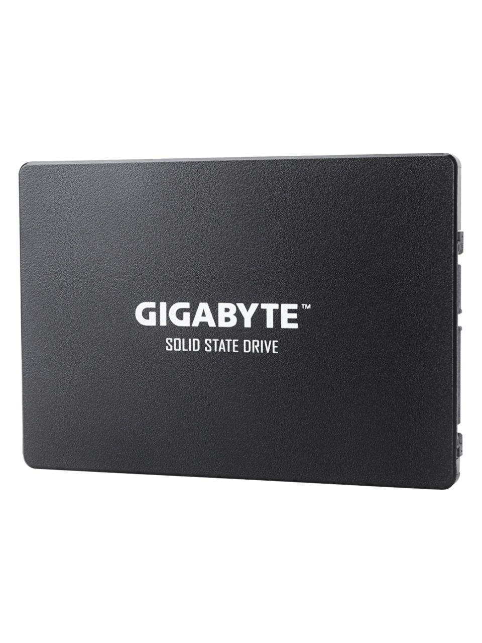 Твердотельный накопитель внутренний Gigabyte GSTFS31256GTND