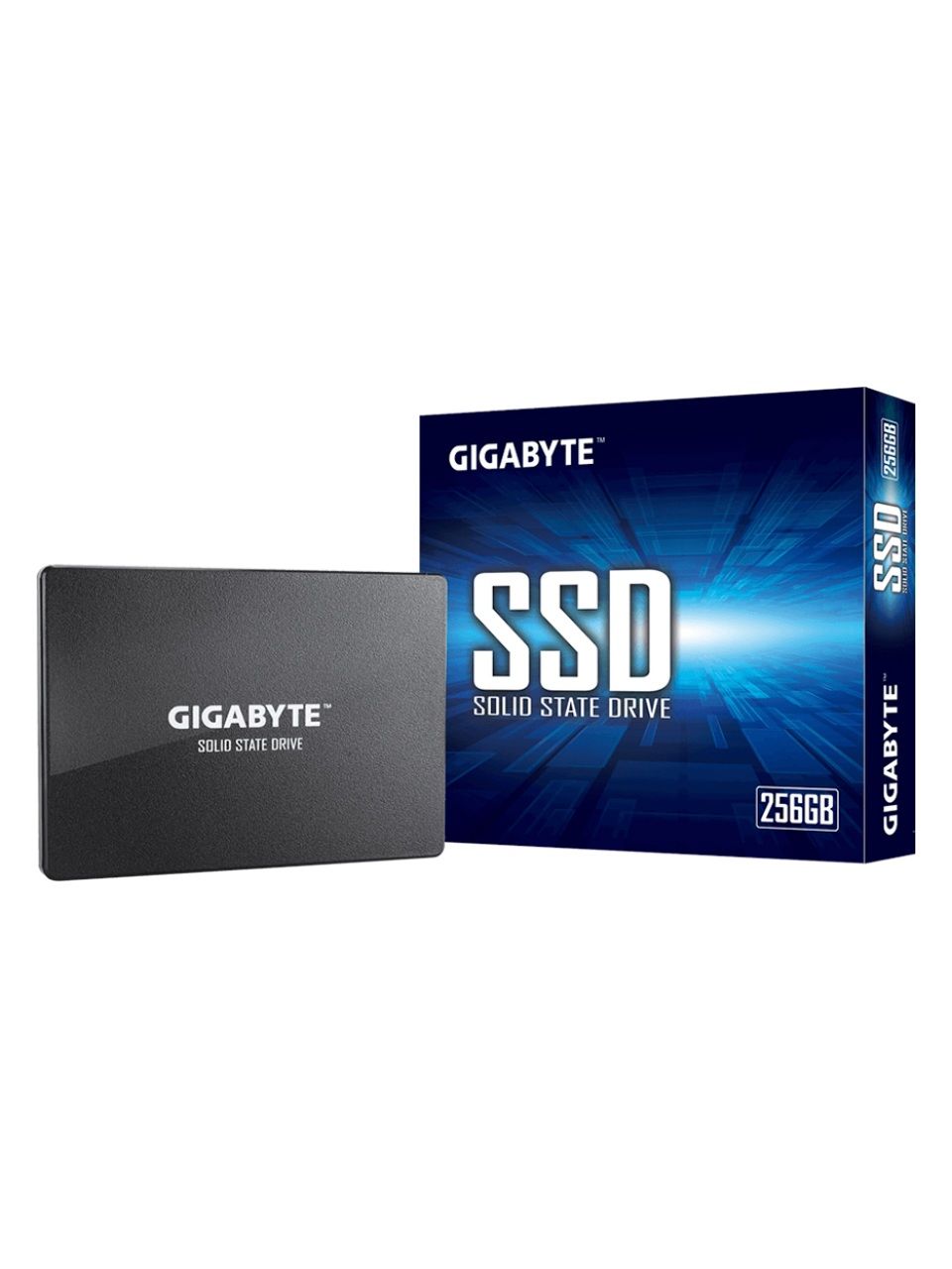 Твердотельный накопитель внутренний Gigabyte GSTFS31256GTND