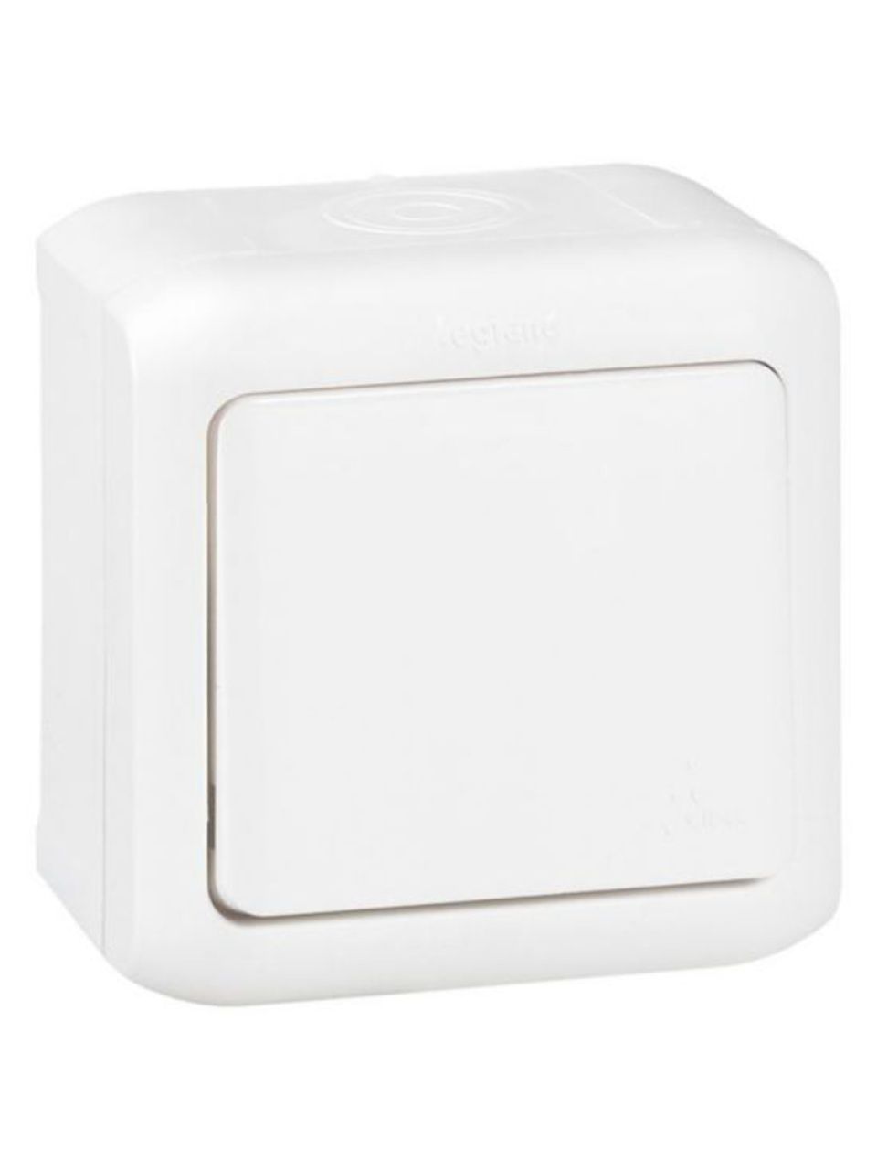 Выключатель без фиксации (кнопка) Legrand Forix 6A 250В IP44 накладной белый