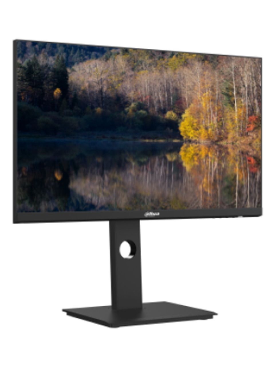Монитор 27" Dahua DHI-LM27-P301A